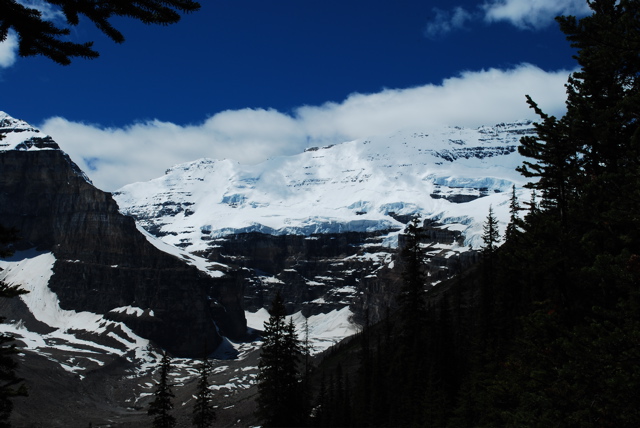 DSC_0145